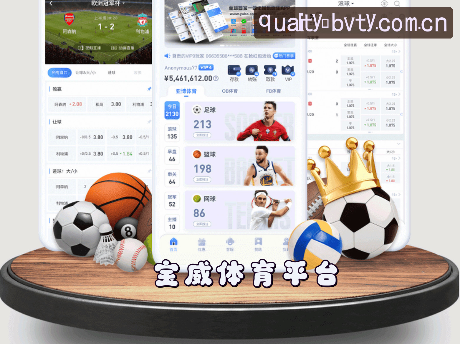 宝威(BVTY)官方网站 · 品质之选 · A9X2